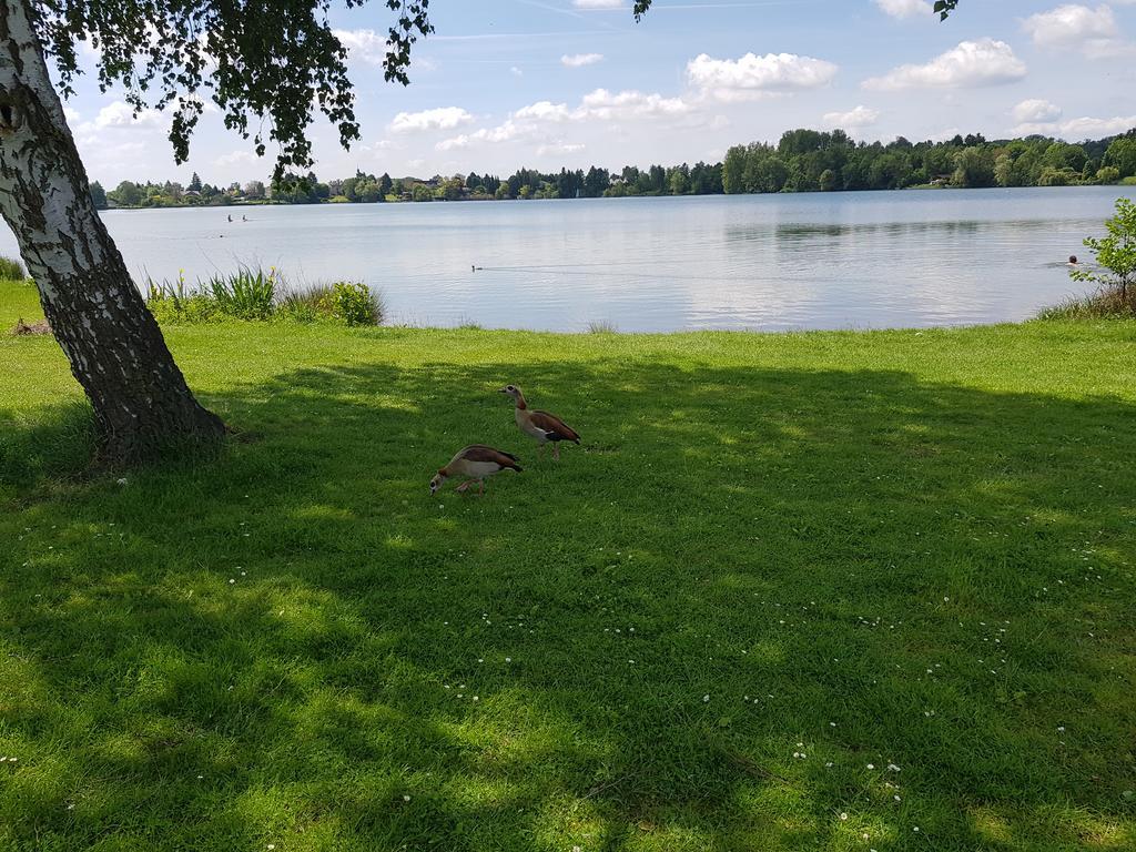 Ferienhaus Am See Hungen Extérieur photo